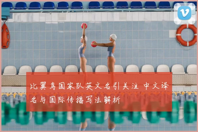 比翼鸟国家队英文名引关注 中文译名与国际传播写法解析