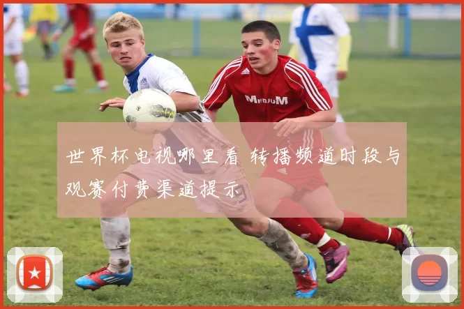 世界杯电视哪里看 转播频道时段与观赛付费渠道提示