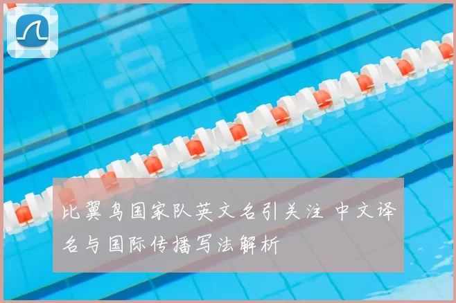 比翼鸟国家队英文名引关注 中文译名与国际传播写法解析