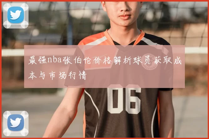 最强nba张伯伦价格解析球员获取成本与市场行情