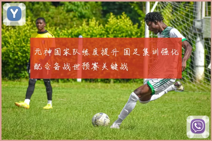 元神国家队练度提升 国足集训强化配合备战世预赛关键战