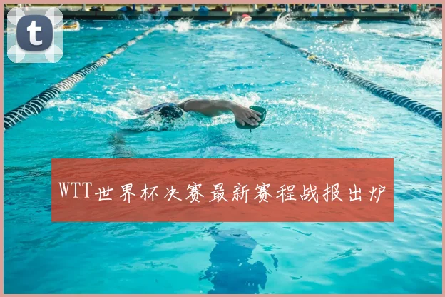 WTT世界杯决赛最新赛程战报出炉