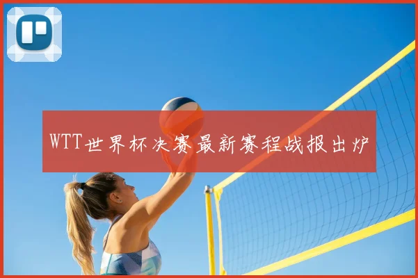 WTT世界杯决赛最新赛程战报出炉